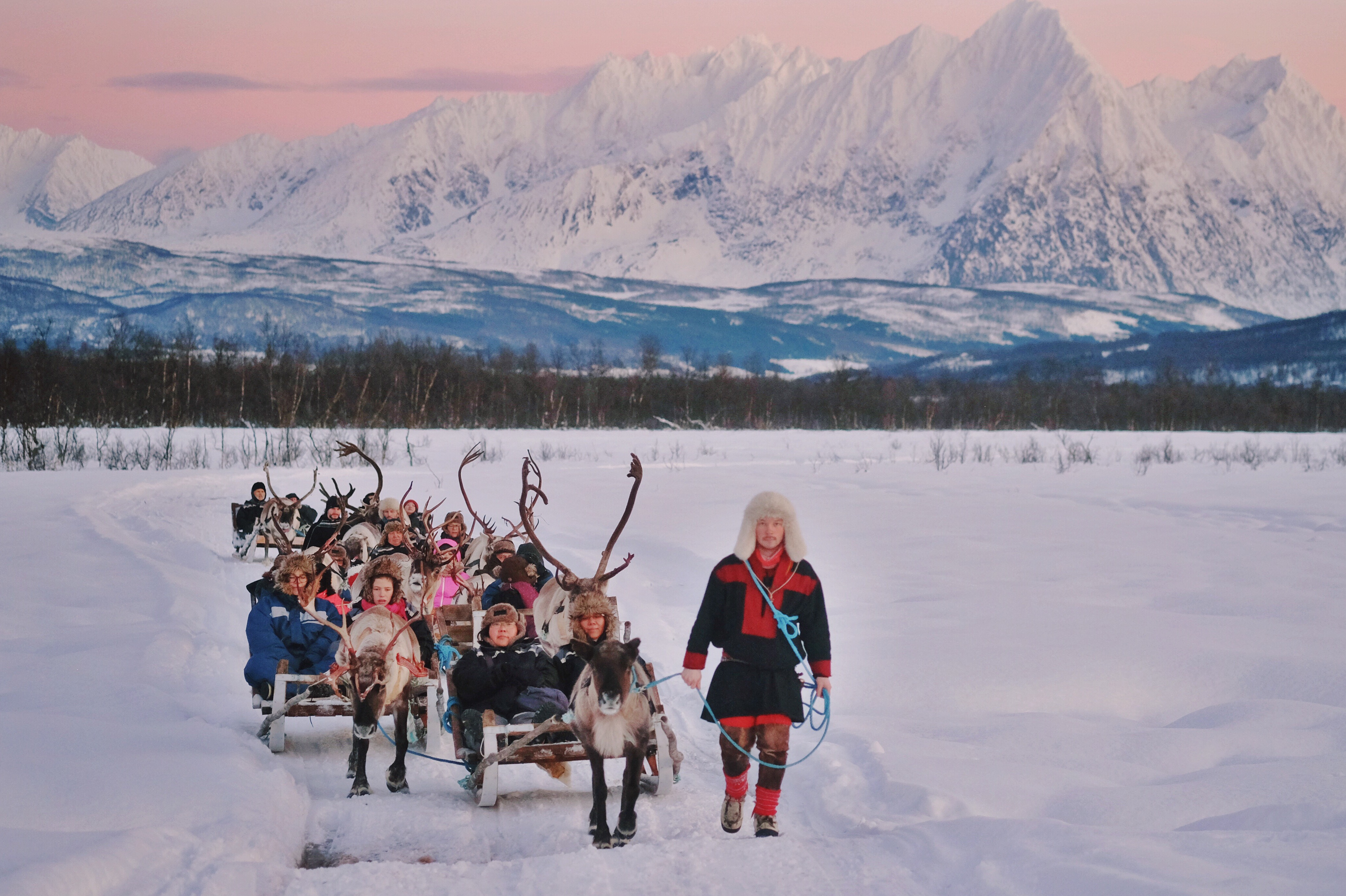 Reindeer Sledding, Reindeer Feeding and Sami Culture Tromsø Lapland